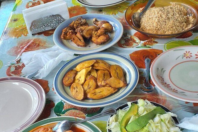 7 Hour- Private Nature Tour of the Monte Plata Rainforest - Final Thoughts