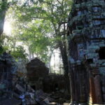 7 Hours Private Angkor Ultimate Tour in Cambodia - Why Choose the 7 Hours Private Angkor Ultimate Tour?