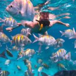 7 Mile Beach & Ricks Café: Full Day in Negril - Rick’s Café: A Clifftop Spectacle