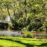 7 Wonders of Sydney South/CBD Luxury Private Tour - Authentic Insights from Past Travelers