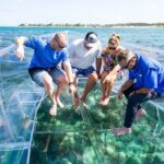75 Minutes Clear Boat Tour in Caicos Island - A Close Look at the Experience