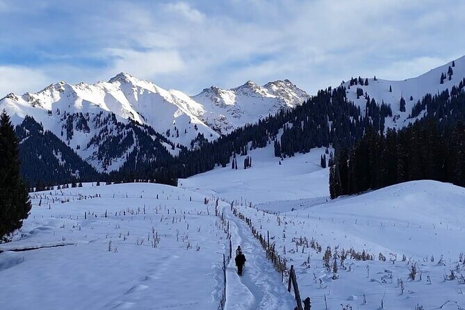 8-Day Tour of Ili, Xinjiang - Practicalities and Value