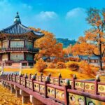 8 hour Private Tour Experience at Myeongdong by Car - What’s Included and What to Keep in Mind