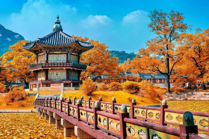 8 hour Private Tour Experience at Myeongdong by Car - What’s Included and What to Keep in Mind