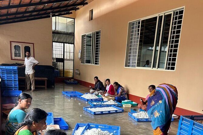 A 2-day trip through the Silk Route between Bangalore & Mysore - Authentic Insights & Real Traveler Experiences