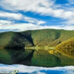 A Culinary Journey Through History and Nature - Practical Details and Why They Matter