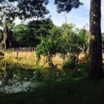 A Day Angkor Park Tours - Private English Speaking Tour Guide - What’s included and what’s not