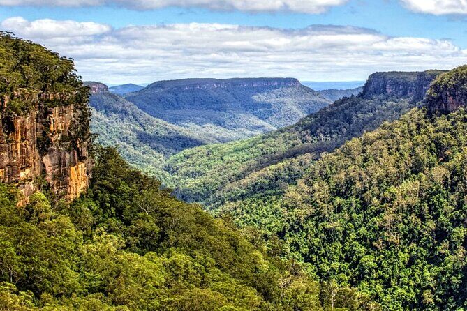 A Day In The Vineyards || Luxury Private Winery Tour From Sydney - What Makes This Tour Special?