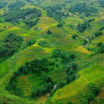 A day Trek to Rice Field in LaoChai-Tavan village-MuongHoa valley - Who should consider this tour?