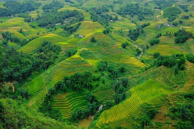A day Trek to Rice Field in LaoChai-Tavan village-MuongHoa valley - Who should consider this tour?