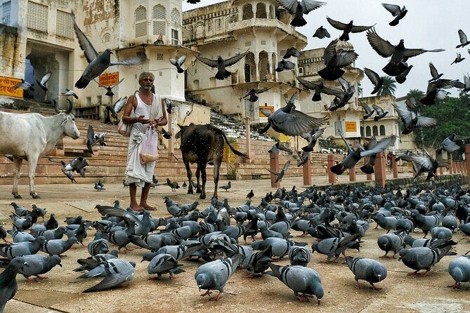 A Day Trip of Pushkar From Jaipur with Guide Service - Considerations for Potential Travelers