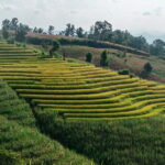 A Day Trip to Doi Inthanon Escape to Nature - The Transport and Group Dynamics