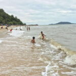 A Day Trip to Kep Beach and Kampot from Phnom Penh - The Transport and Overall Experience