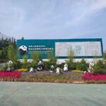 A day trip to the Xi'an Qinling Giant Panda Research Center - Why this tour stands out