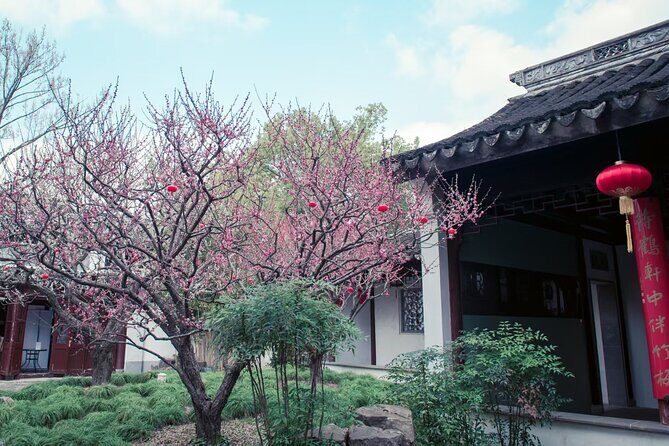 A Deep Dive into Nanxiang Xiaolongbao Culture - The Itinerary in Detail