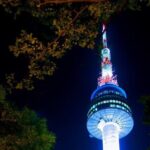 A Journey Through Time and Taste Seoul Experience - The Practical Aspects and Overall Value