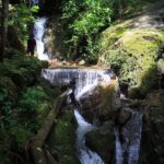 A Jungle-to-Sea Kayaking & Trekking Adventure in Phuket - Practical Details and What to Expect