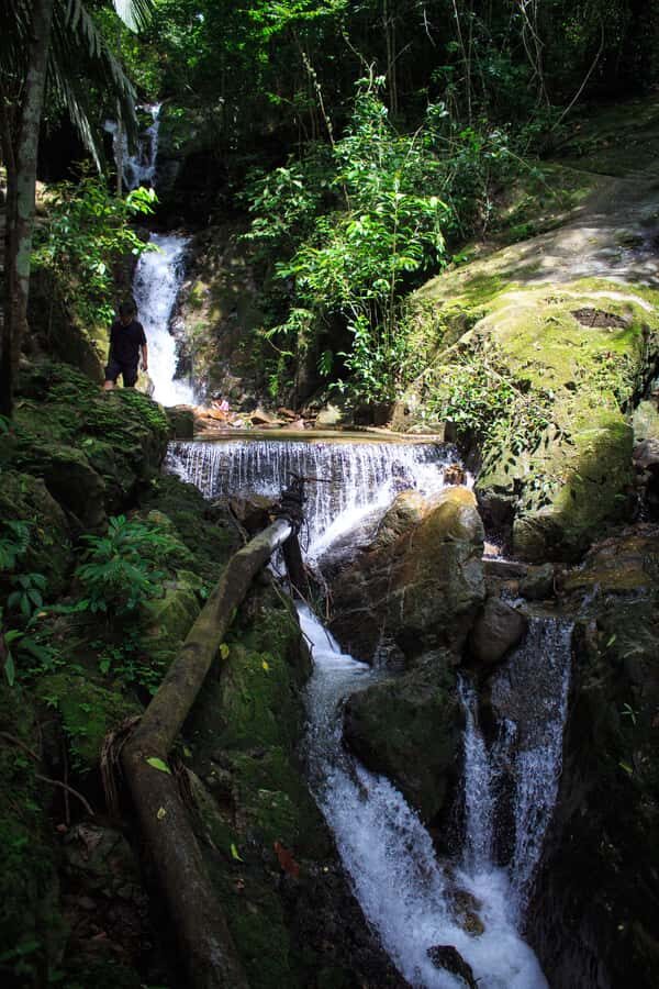 A Jungle-to-Sea Kayaking & Trekking Adventure in Phuket - Practical Details and What to Expect