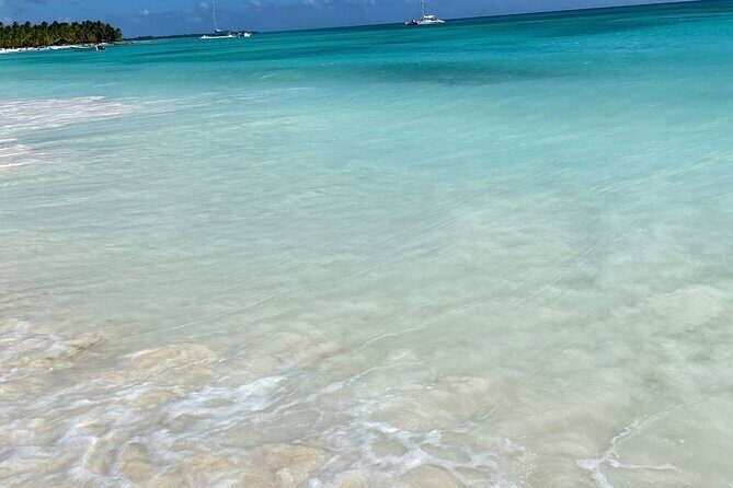 A Magical Day on Saona Island - Why This Tour Is Worth It