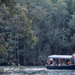 A Mangrove River Cruise on Langkawi - Transportation, Timing, and Group Size