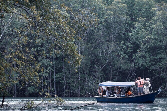 A Mangrove River Cruise on Langkawi - Transportation, Timing, and Group Size