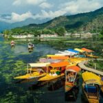 A Private Guided Walking Tour Of Old Srinagar With Lunch - Practical Tips for Making the Most of Your Tour