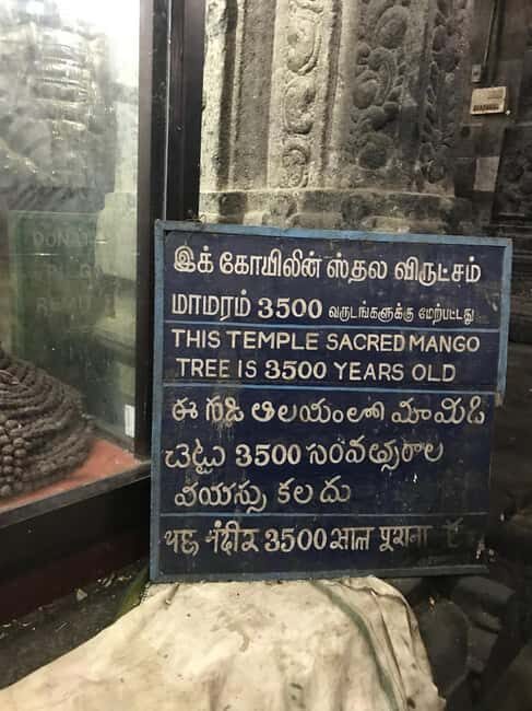 A Private Trip to Kanchipuram & Mahabalipuram from Chennai - Who Will Enjoy This Tour?