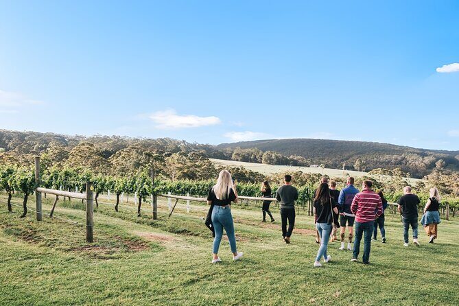 A Sense of Place a Wine Tasting Experience in Denmark - The Sum Up