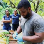 A Soufriere Farm Seasoned Experience - FAQs