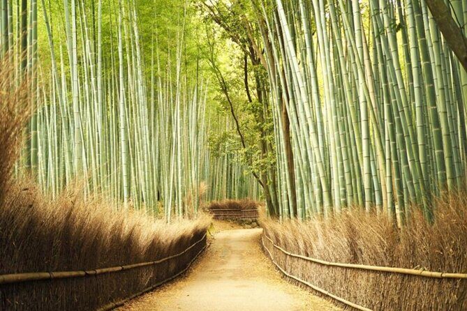 A trip to Kyoto and Osaka in one day - The Sum Up