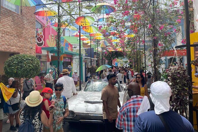 A Tropical Adventure and Discover Puerto Plata - Who Should Consider This Tour?  