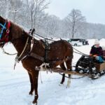 Abashiri: Horse-Drawn Sleigh Ride & Making Local Cuisine - Who Will Love This Tour?