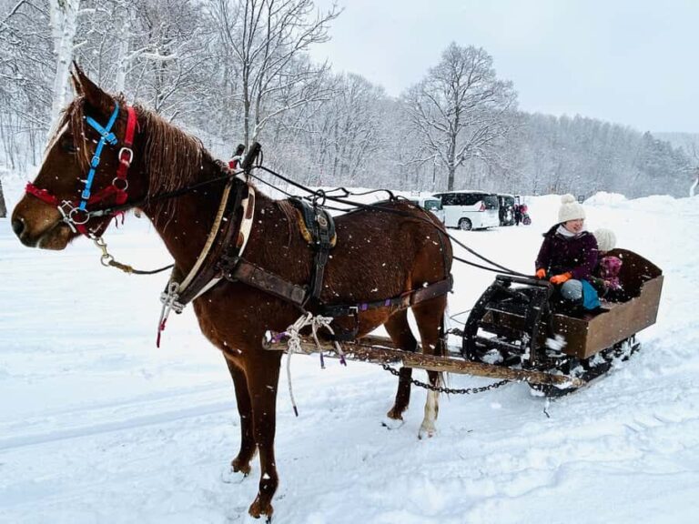 Abashiri: Horse-Drawn Sleigh Ride & Making Local Cuisine - Who Will Love This Tour?