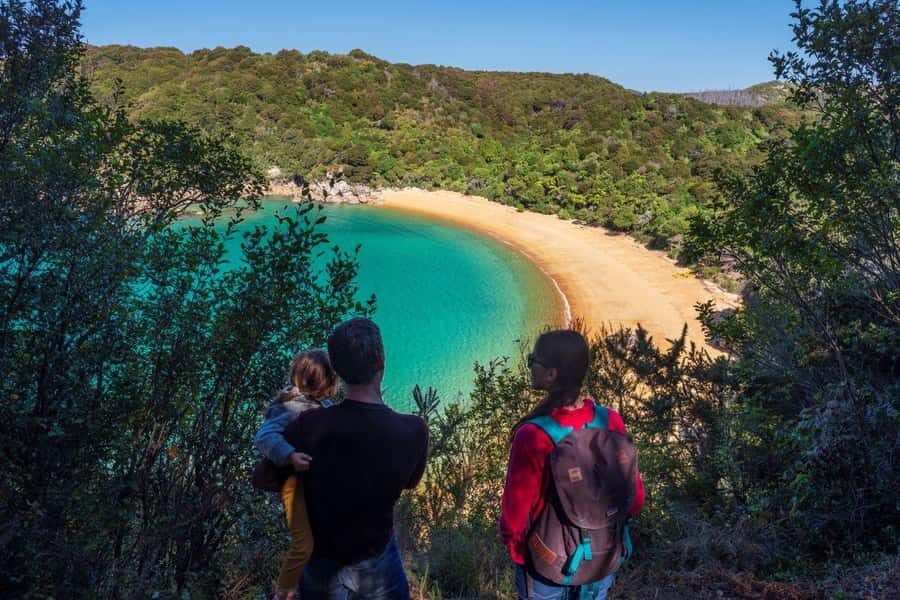Abel Tasman National Park: Cruise and Hike Full-Day Tour - What Sets This Tour Apart?