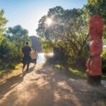 Abel Tasman National Park: Waka & Walk Tour - The Full Itinerary Breakdown