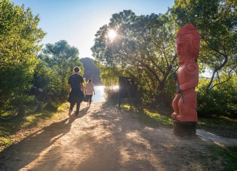 Abel Tasman National Park: Waka & Walk Tour - The Full Itinerary Breakdown