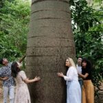 Adelaide City and First Nations Cultural Tour - What’s Included and What to Expect