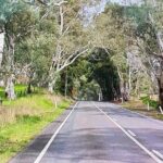Adelaide City Highlights via Hahndorf Half-Day Tour - Exploring the Itinerary in Depth