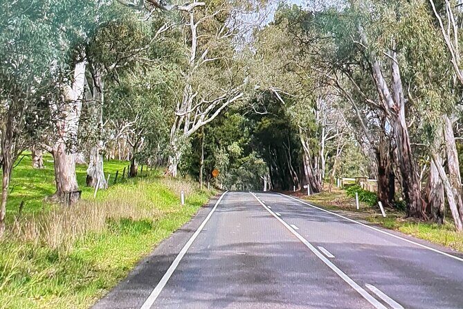 Adelaide City Highlights via Hahndorf Half-Day Tour - Exploring the Itinerary in Depth