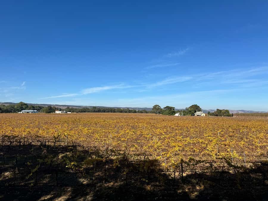 Adelaide City Highlights via Hahndorf Half-Day Tour - Transportation, Group Size, and Price