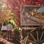 Adelaide: Highlights, Hahndorf & McLaren Vale Wine Tasting - Transportation, Group Size, and Value