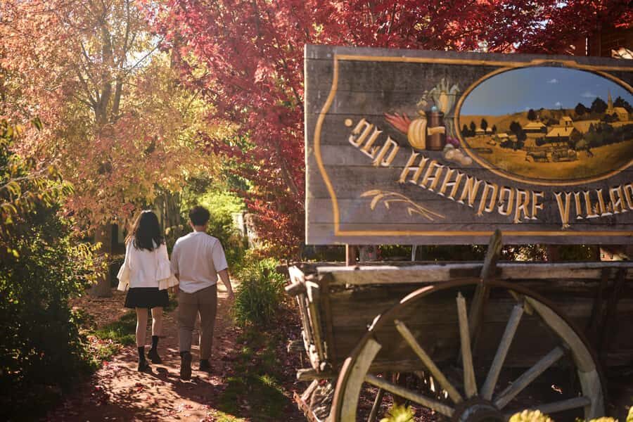 Adelaide: Highlights, Hahndorf & McLaren Vale Wine Tasting - Transportation, Group Size, and Value