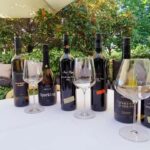 Adelaide Hills: Wine Tasting Tour with Lunch Option - The Lunch Experience
