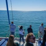 Adelaide: Kauwi Cultural Cruise - What Is the Kauwi Cultural Cruise?