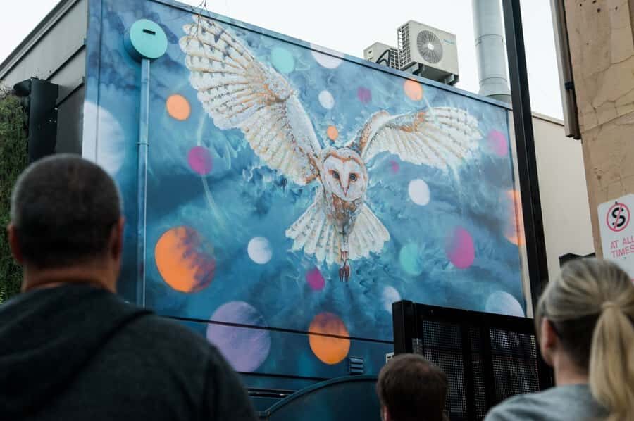 Adelaide: Paint and Palate Street Art Tour - The Walk Through Street Art and Murals