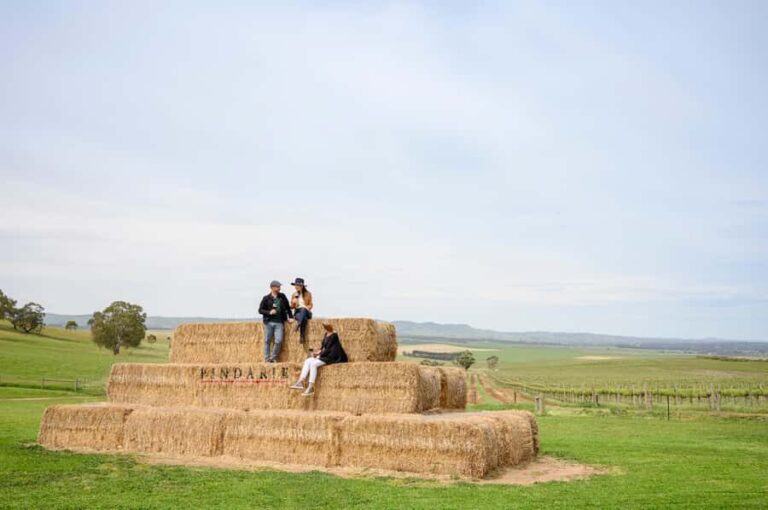 Adelaide: Small Group Tour of Barossa, Wineries with Lunch - What to Expect from This Barossa Experience