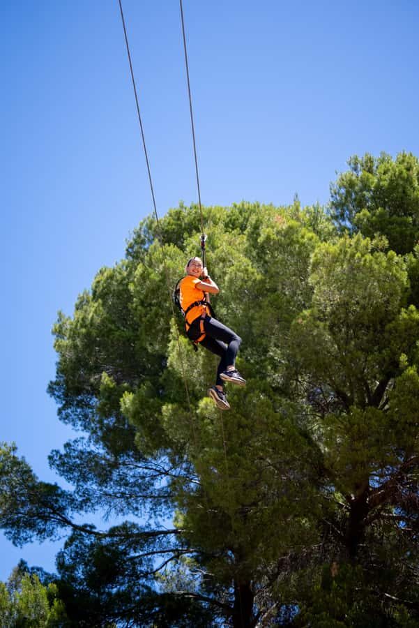 Adelaide: TreeClimb Adventure - Meeting Point and Practical Details