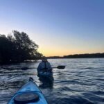 Adelaide: Twilight Mangrove Creek Kayak Tour - What to Expect from Each Part of the Tour