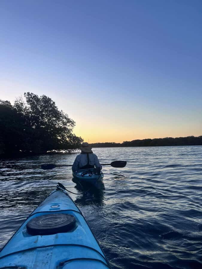 Adelaide: Twilight Mangrove Creek Kayak Tour - What to Expect from Each Part of the Tour