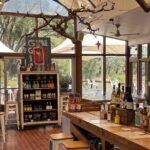 Adelaides Must do tours for Cruise Passengers  Arrive on Time - The Sum Up